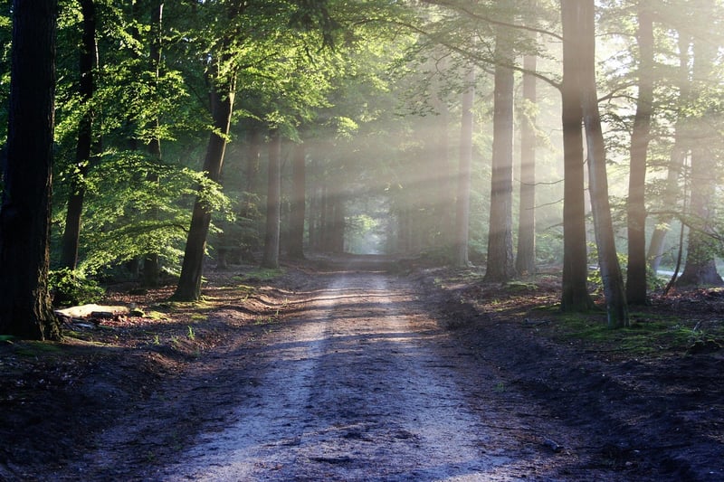 Pixie Paths